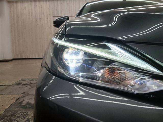 Миниатюра 29
