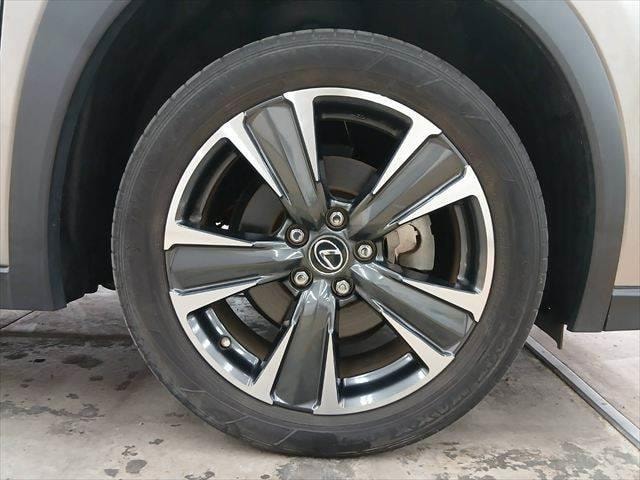 Миниатюра 29