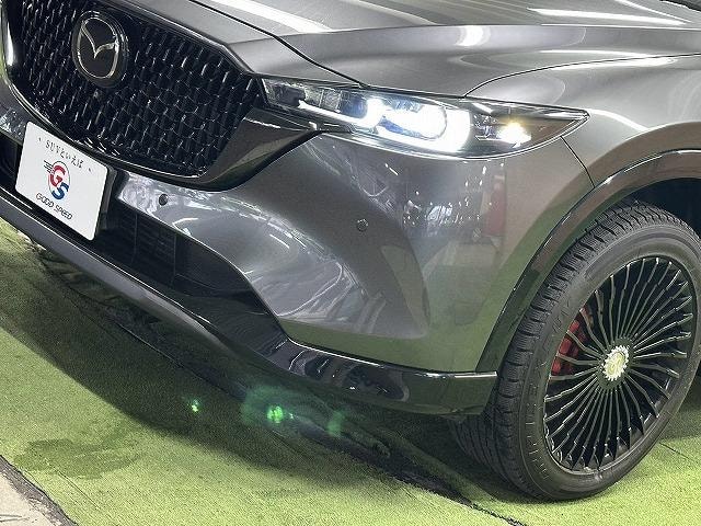 Миниатюра 63
