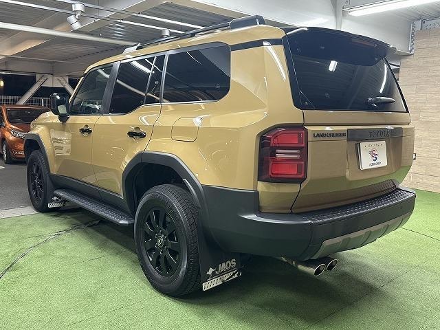 Миниатюра 55