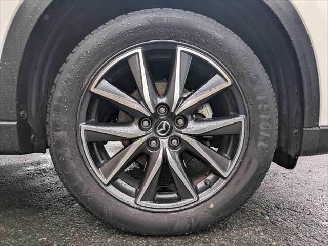 Миниатюра 25