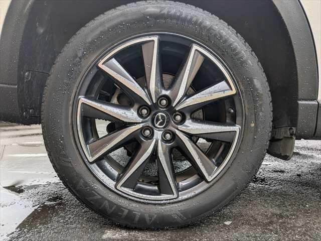 Миниатюра 26