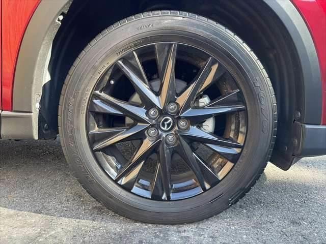 Миниатюра 25