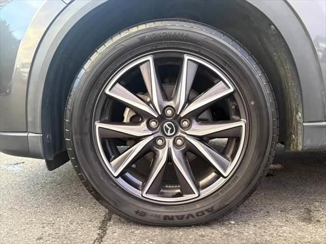 Миниатюра 17