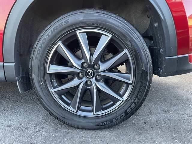 Миниатюра 31