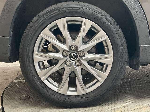 Миниатюра 37