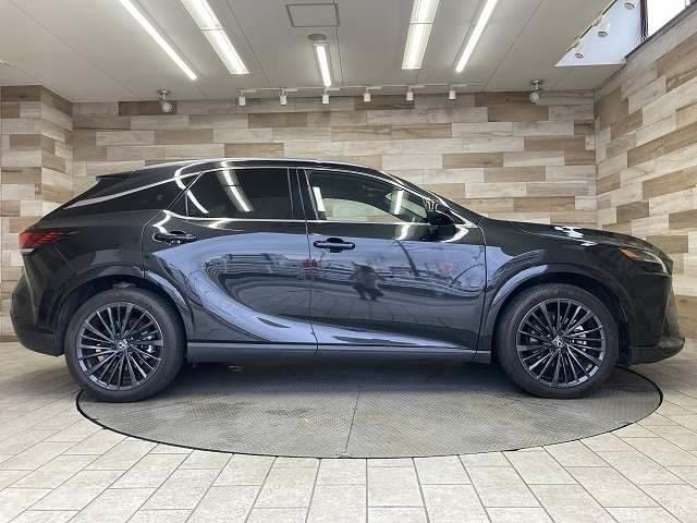 Миниатюра 18