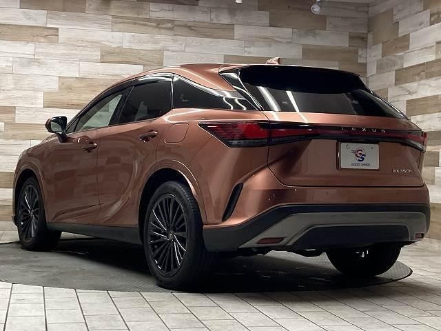 Миниатюра 25
