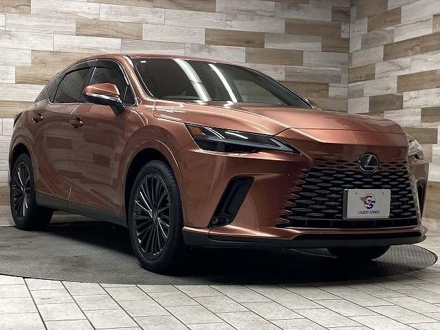 Миниатюра 29