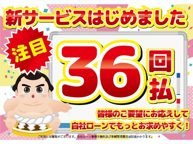 Миниатюра 38