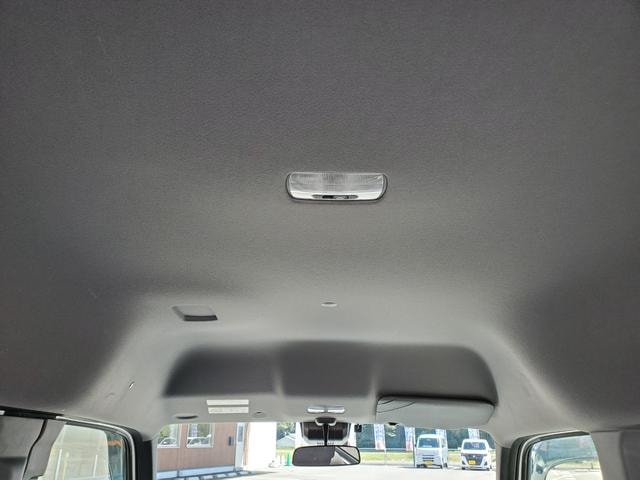Миниатюра 29