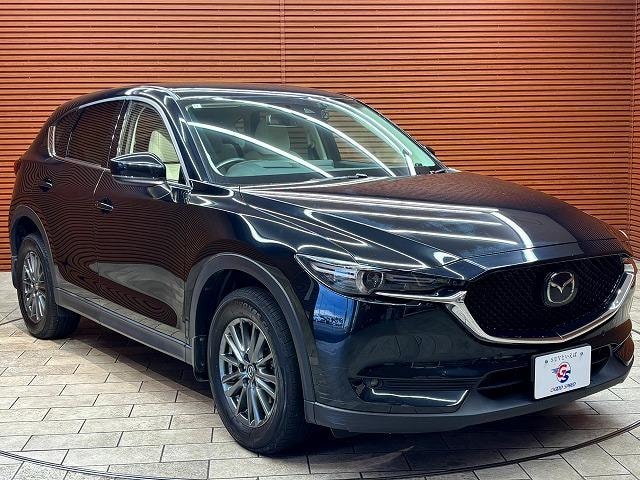 Миниатюра 30