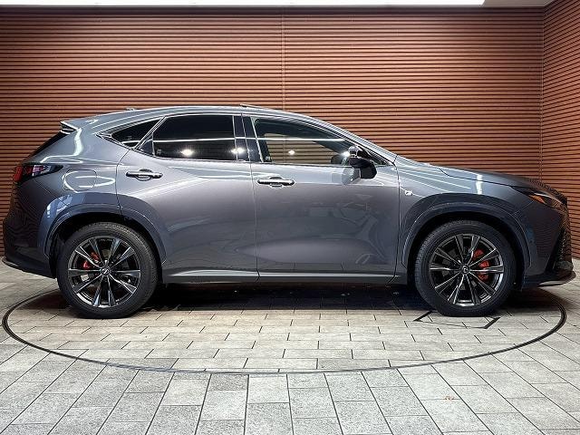 Миниатюра 31