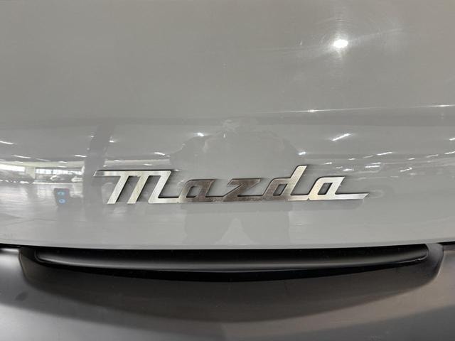 Миниатюра 37