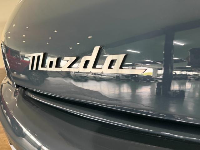 Миниатюра 47
