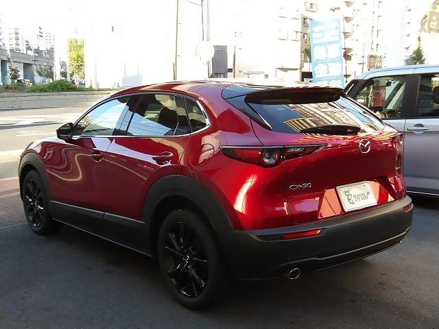 Миниатюра 10