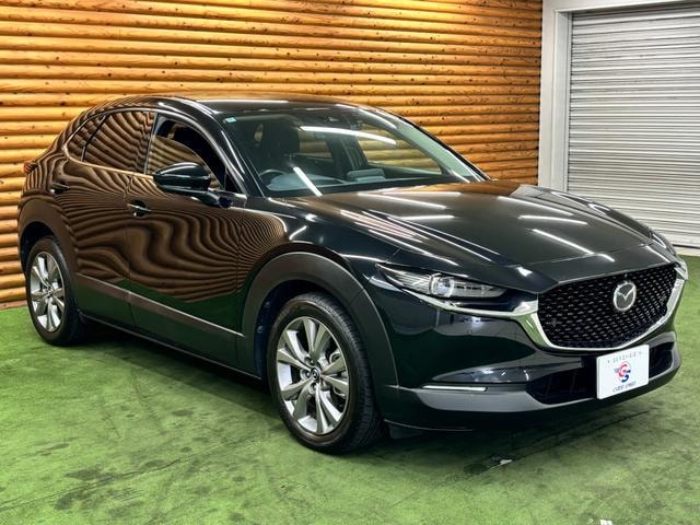 Миниатюра 30