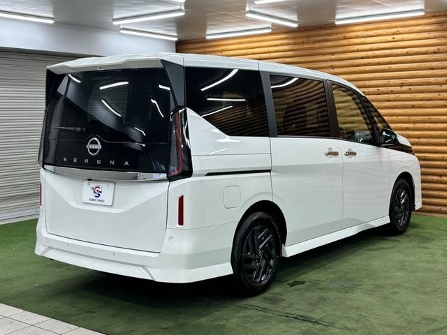 Миниатюра 33