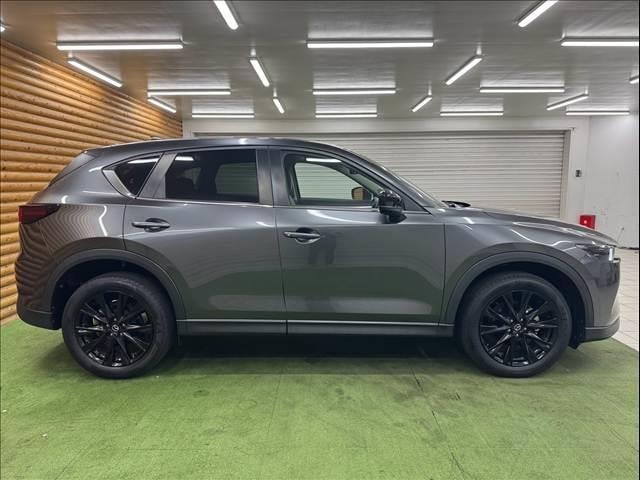 Миниатюра 18