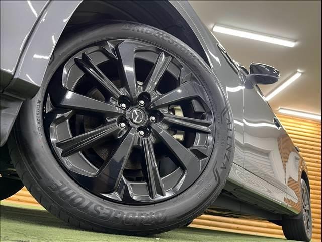 Миниатюра 19