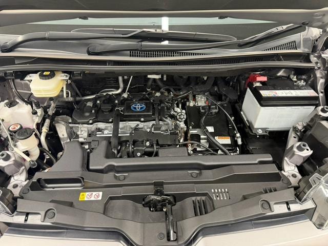 Миниатюра 66