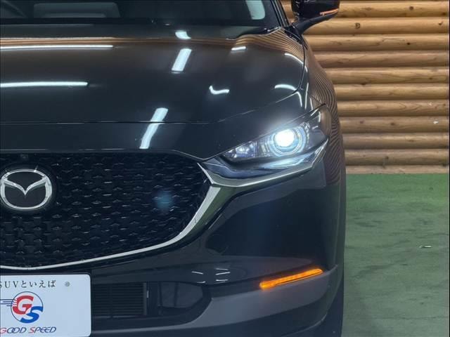 Миниатюра 20