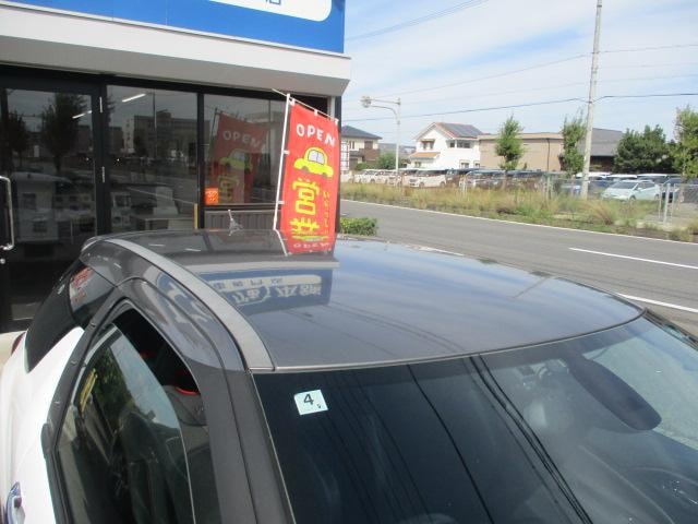 Миниатюра 32