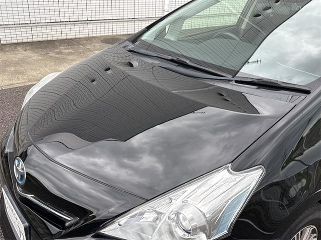 Миниатюра 30