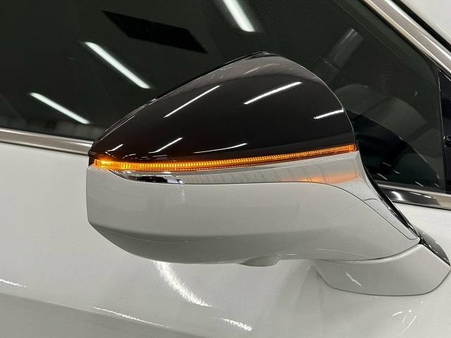 Миниатюра 41