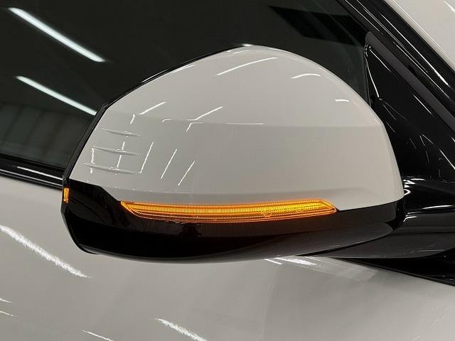 Миниатюра 30