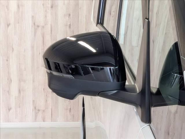 Миниатюра 29