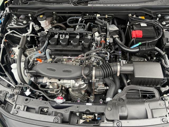Миниатюра 53