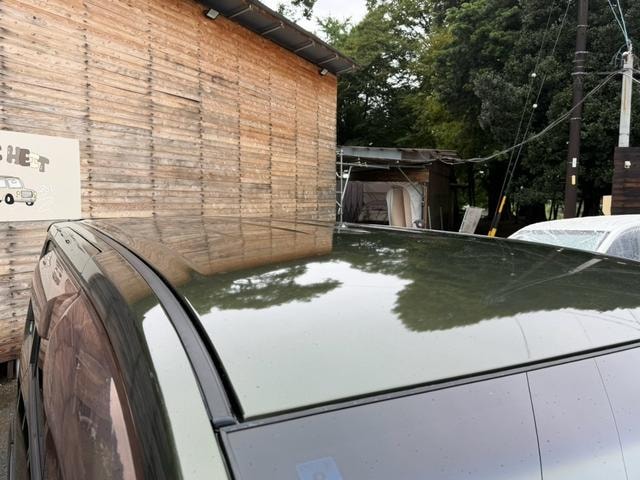 Миниатюра 30
