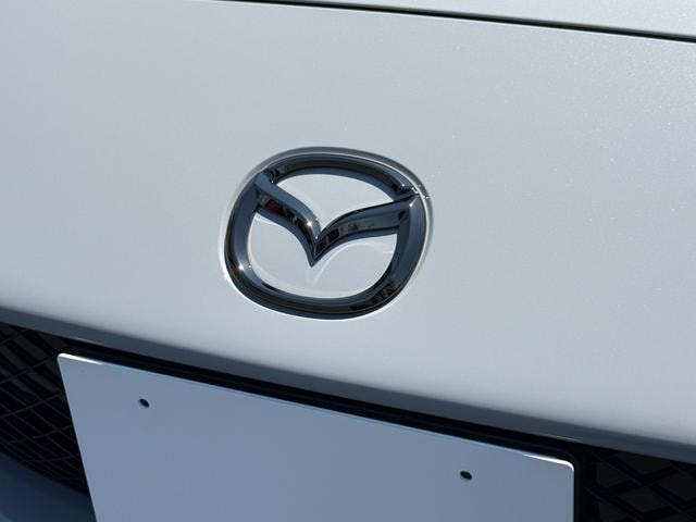 Миниатюра 30