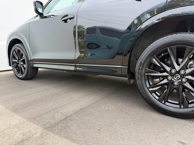 Миниатюра 18
