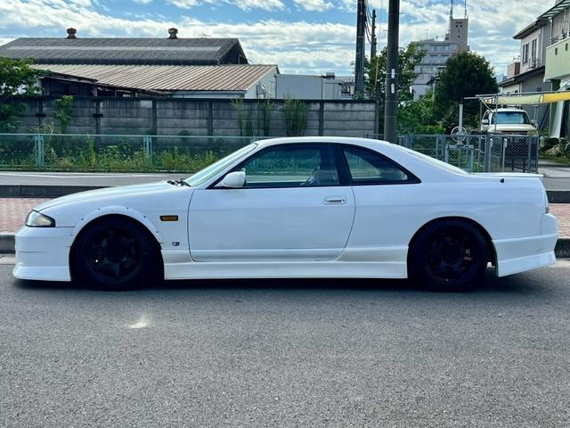 Nissan SKYLINE 1995 — фото автомобиля 1