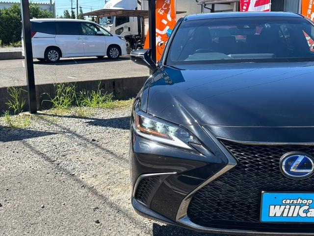 Миниатюра 66
