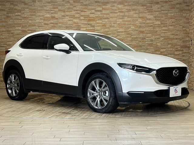 Миниатюра 29