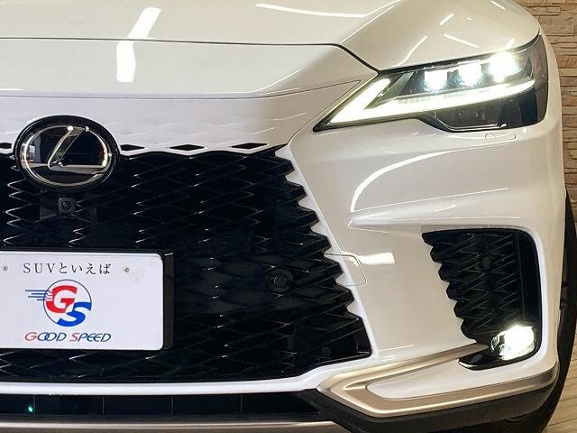 Миниатюра 29