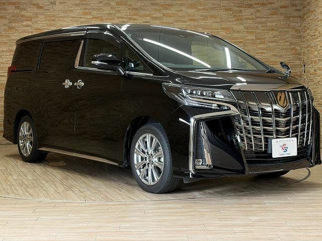 Миниатюра 41