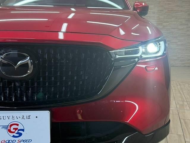 Миниатюра 20