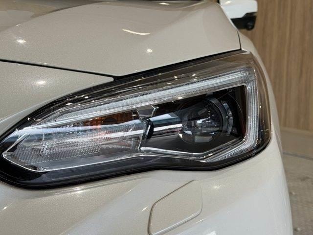 Миниатюра 24