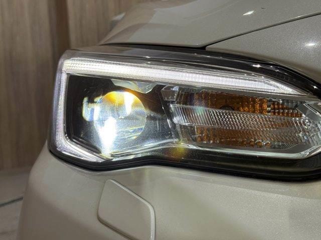 Миниатюра 33