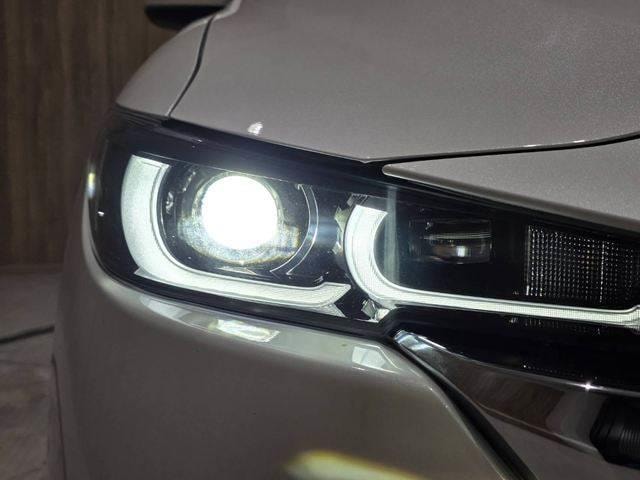 Миниатюра 29