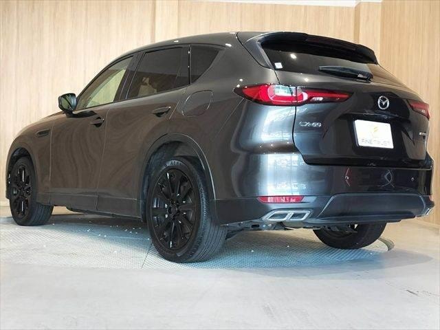 Миниатюра 18