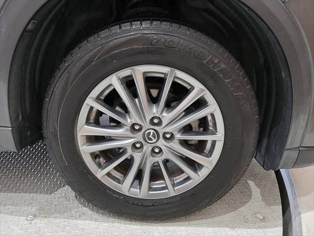 Миниатюра 29