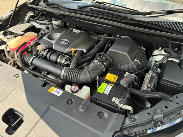 Миниатюра 13