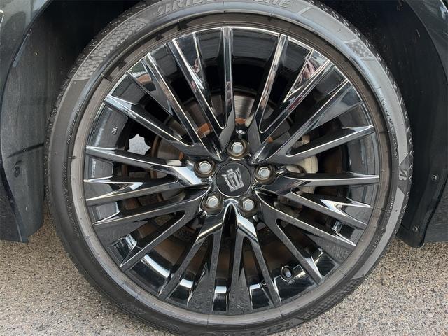 Миниатюра 55