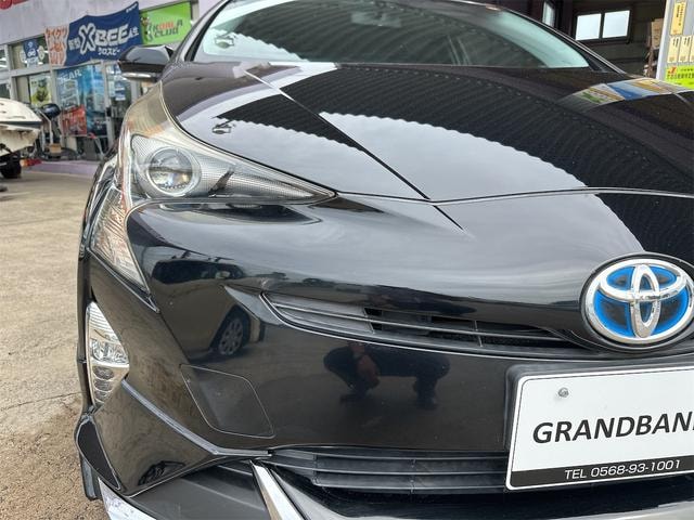 Миниатюра 33