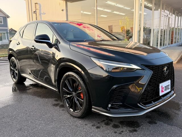 Миниатюра 16